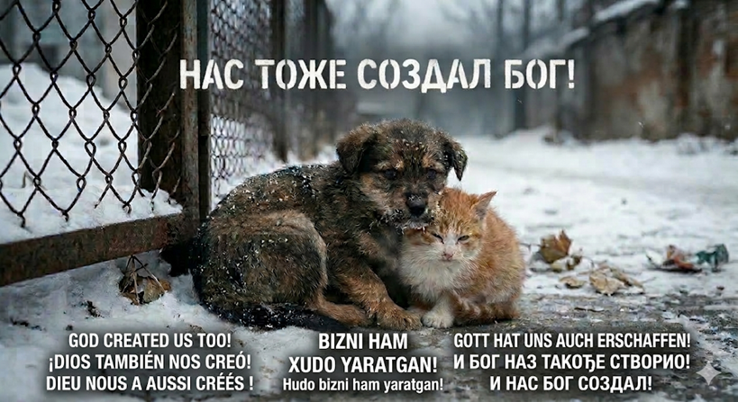 Your God Created Us Too